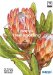 Sappi Tree Spotting : Including the Richtersveld, Kalahari and Karoo cover