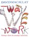 The Way We Work cover