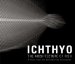Ichthyo : The Architecture of Fish X-rays from the Smithsonian Institute cover