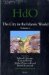 The City in the Islamic World cover