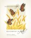 Celebrations of Life : Whisperings of Faith cover