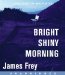 Bright Shiny Morning cover