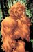 Alpha Flight : You Gotta Be Kiddin' Me cover