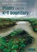  Plants and the K-T Boundary