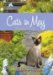  Cats in May