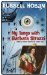  My Tango With Barbara Strozzi
