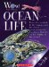  Ocean Life!