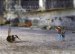  Little People in the City: The Street Art of Slinkachu