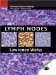  Lymph Nodes