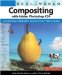  Real World Compositing With Adobe Photoshop CS4