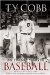  My Twenty Years in Baseball
