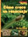  Como crece un renacuajo / A Tadpole Grows Up