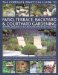 The Complete Practical Guide to Patio, Terrace, Backyard & Courtyard Gardening: How to Plan, Design and Plant Up Garden Courtyards, Walled Spaces, Patios, Terraces and Enclosed Backyards