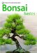  Bonsai Basics