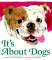  It's About Dogs