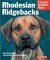 Rhodesian Ridgebacks: Everything About Purchase, Care, Nutrition, Behavior, and Training