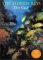 The Florida Keys Dive Guide