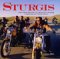  Sturgis: The Photography of Michael Lichter
