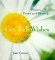  Get Well Wishes: Prayers, Poems, and Blessings