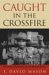  Caught in the Crossfire: Revolutions, Repression, and the Rational Peasant