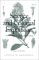  Science and Colonial Expansion: The Role of the British Royal Botanic Gardens