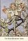 The Flower Fairies Poster Set