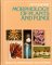  Morphology of Plants and Fungi