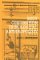  Body Composition in Biological Anthropology