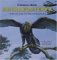  Archaeopteryx and Other Flying Dinosaurs