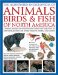 The Illustrated Encyclopedia of Animals, Birds & Fish of North America
