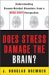  Does Stress Damage The Brain?: Understanding Trauma-related Disorders From A Mind-body Perspective