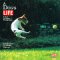 A Dog's Life: A Book of Classic Photographs