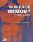  Surface Anatomy: The Anatomical Basis of Clinical Examination