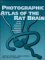  Photographic Atlas of the Rat Brain the Cell and Fiber Architecture Illustrated in Three Planes With Stereotaxic Coordinates: A Photographic Guide to the Cell and Fiber Architecture of the Rat Brain Illustrated in Three Planes With Stereotaxic Coordinates