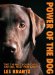  Power of the Dog: Things Your Dog Can Do That You Can't