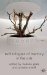  Technologies of Memory in the Arts