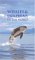  Whales & Dolphins Of The World