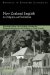  New Zealand English: Its Origins and Evolution