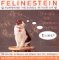 Felinestein: Pampering the Genius in Your Cat