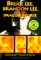  Bruce Lee, Brandon Lee and the Dragon's Curse