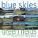  Blue Skies Green Fields: A Celebration Of 50 Major League Baseball Stadiums