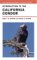  Introduction to the California Condor