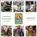  Crescent City Farmer's Market Cookbook