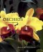  Orchids: A Care Manual