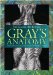  Gray's Anatomy
