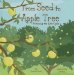  From Seed to Apple Tree: Following the Life Cycle