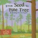  From Seed to Pine Tree: Following the Life Cycle