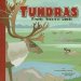  Tundras: Frosty, Treeless Lands