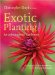  Exotic Planting for Adventurous Gardeners