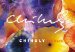  Dale Chihuly: 365 Days